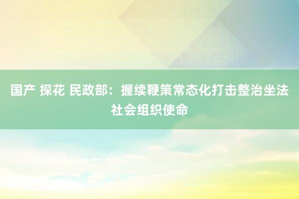 国产 探花 民政部：握续鞭策常态化打击整治坐法社会组织使命