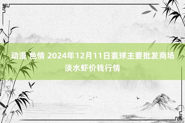 动漫 色情 2024年12月11日寰球主要批发商场淡水虾价钱行情