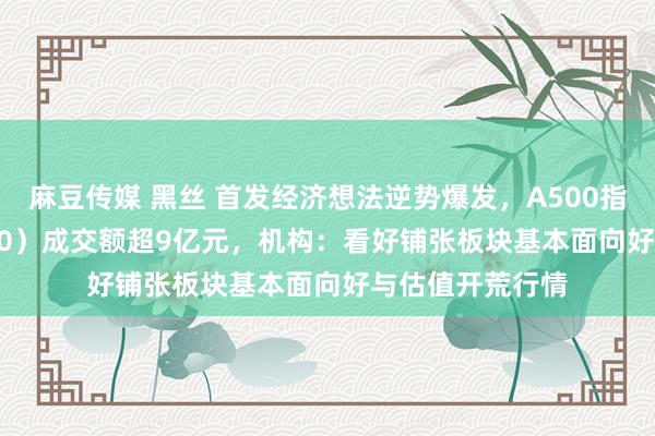 麻豆传媒 黑丝 首发经济想法逆势爆发，A500指数ETF（560610）成交额超9亿元，机构：看好铺张板块基本面向好与估值开荒行情