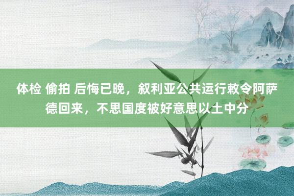 体检 偷拍 后悔已晚，叙利亚公共运行敕令阿萨德回来，不思国度被好意思以土中分