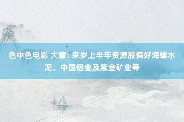 色中色电影 大摩: 来岁上半年资源股偏好海螺水泥、中国铝业及紫金矿业等