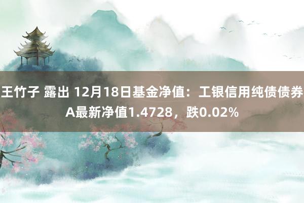 王竹子 露出 12月18日基金净值：工银信用纯债债券A最新净值1.4728，跌0.02%