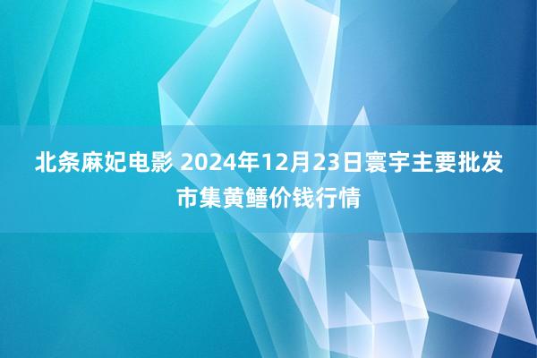 北条麻妃电影 2024年12月23日寰宇主要批发市集黄鳝价钱行情