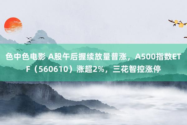 色中色电影 A股午后握续放量普涨，A500指数ETF（560610）涨超2%，三花智控涨停