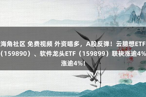 海角社区 免费视频 外资唱多，A股反弹！云臆想ETF（159890）、软件龙头ETF（159899）联袂涨逾4%！