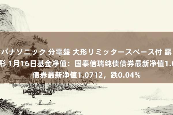 パナソニック 分電盤 大形リミッタースペース付 露出・半埋込両用形 1月16日基金净值：国泰信瑞纯债债券最新净值1.0712，跌0.04%