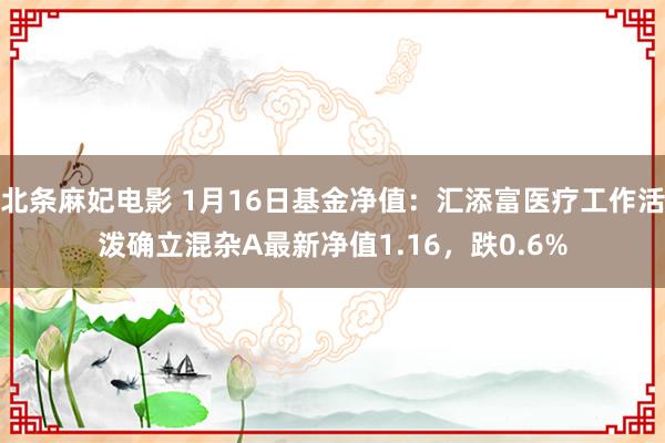 北条麻妃电影 1月16日基金净值：汇添富医疗工作活泼确立混杂A最新净值1.16，跌0.6%