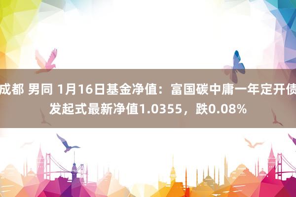 成都 男同 1月16日基金净值：富国碳中庸一年定开债发起式最新净值1.0355，跌0.08%