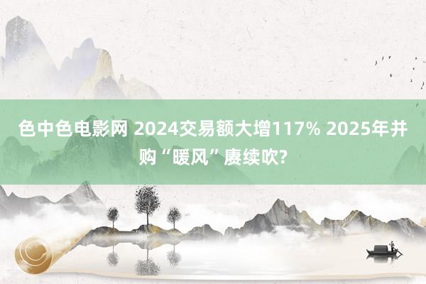 色中色电影网 2024交易额大增117% 2025年并购“暖风”赓续吹?